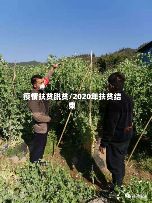 疫情扶贫脱贫/2020年扶贫结束-第2张图片