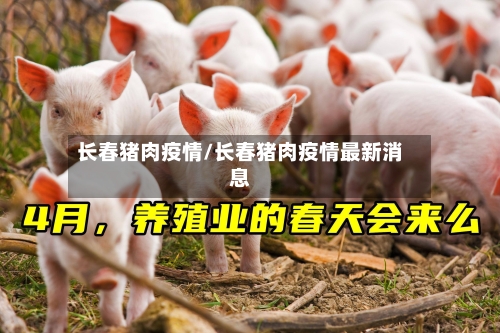 长春猪肉疫情/长春猪肉疫情最新消息-第2张图片