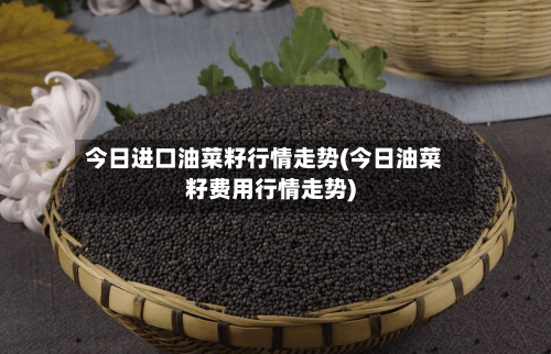 今日进口油菜籽行情走势(今日油菜籽费用行情走势)