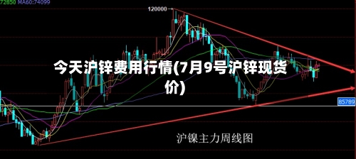 今天沪锌费用行情(7月9号沪锌现货价)