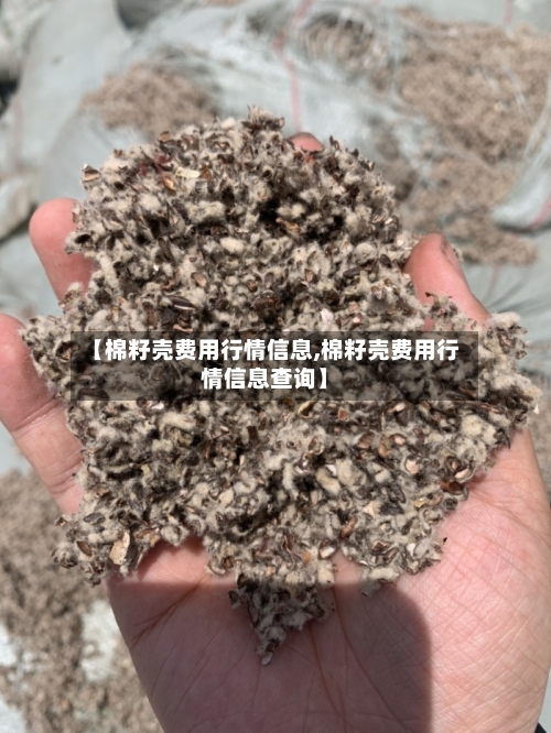 【棉籽壳费用行情信息,棉籽壳费用行情信息查询】