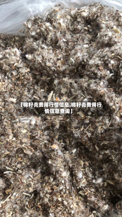 【棉籽壳费用行情信息,棉籽壳费用行情信息查询】-第2张图片