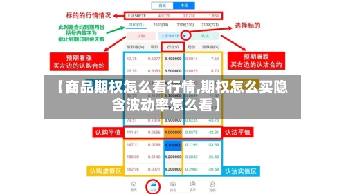 【商品期权怎么看行情,期权怎么买隐含波动率怎么看】