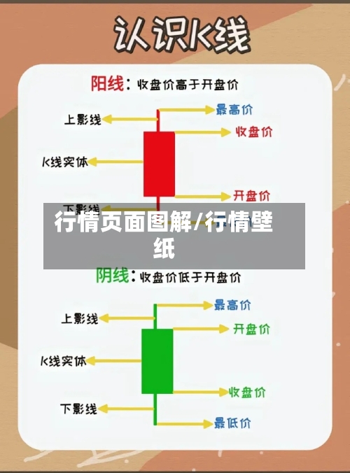 行情页面图解/行情壁纸