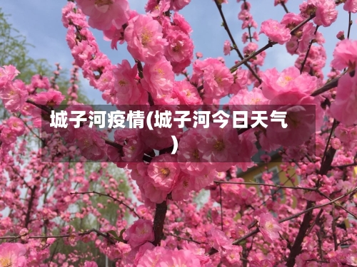 城子河疫情(城子河今日天气)