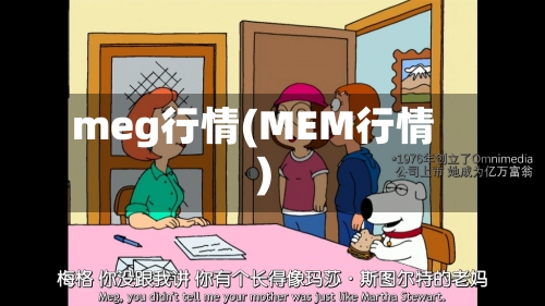 meg行情(MEM行情)-第2张图片