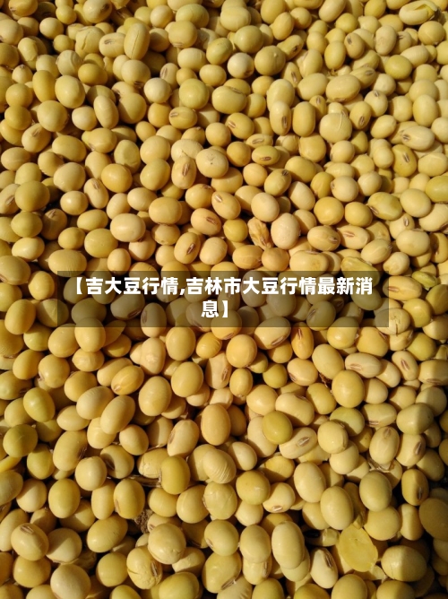 【吉大豆行情,吉林市大豆行情最新消息】