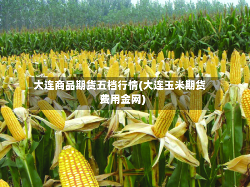 大连商品期货五档行情(大连玉米期货费用金网)