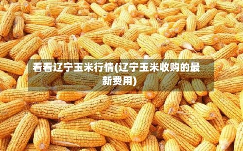 看看辽宁玉米行情(辽宁玉米收购的最新费用)-第2张图片