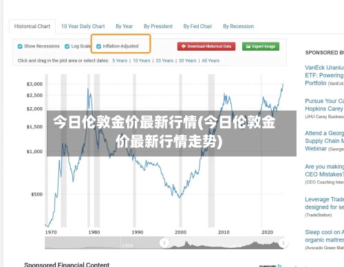 今日伦敦金价最新行情(今日伦敦金价最新行情走势)-第2张图片