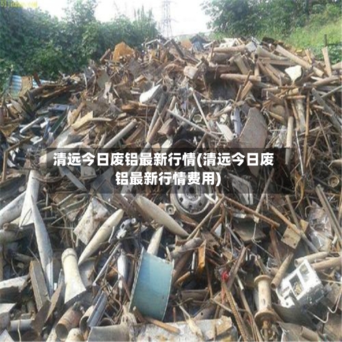 清远今日废铝最新行情(清远今日废铝最新行情费用)-第2张图片