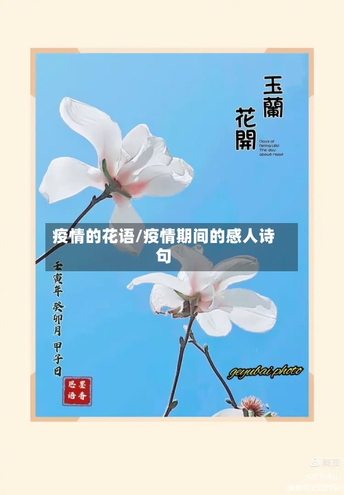 疫情的花语/疫情期间的感人诗句-第2张图片