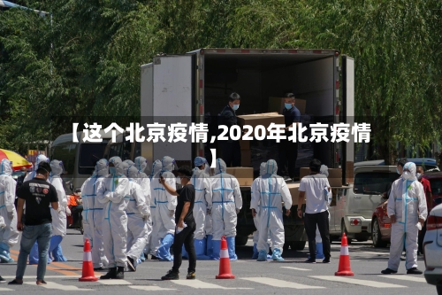 【这个北京疫情,2020年北京疫情】-第3张图片