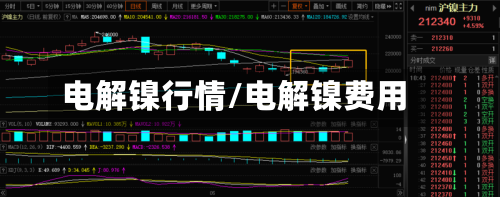 电解镍行情/电解镍费用