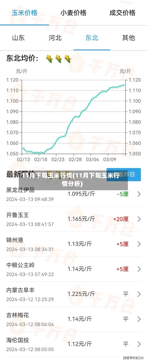 11月下旬玉米行情(11月下旬玉米行情分析)