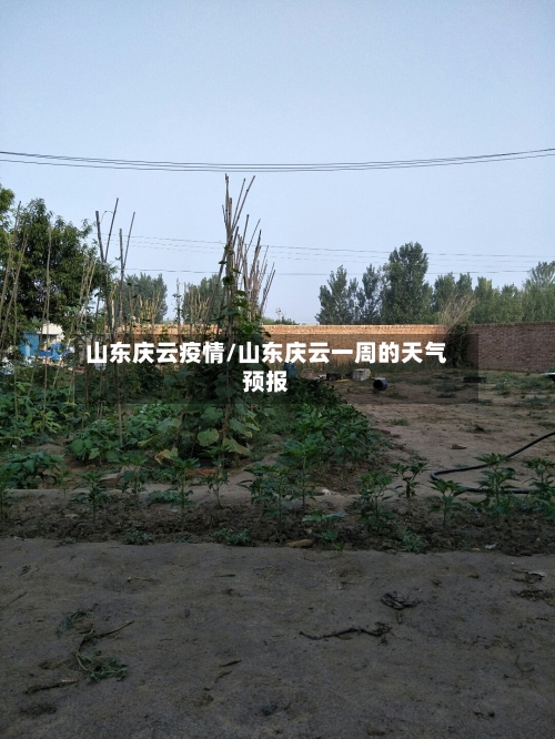 山东庆云疫情/山东庆云一周的天气预报-第3张图片