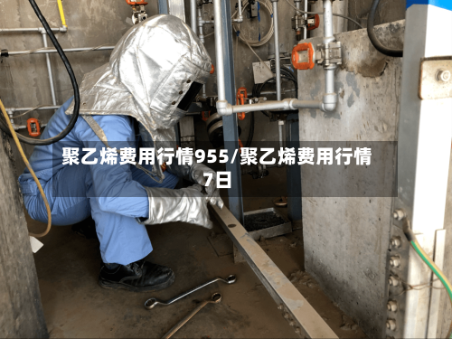 聚乙烯费用行情955/聚乙烯费用行情7日