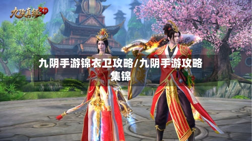 九阴手游锦衣卫攻略/九阴手游攻略集锦-第2张图片