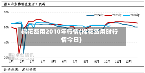 棉花费用2010年行情(棉花费用时行情今日)