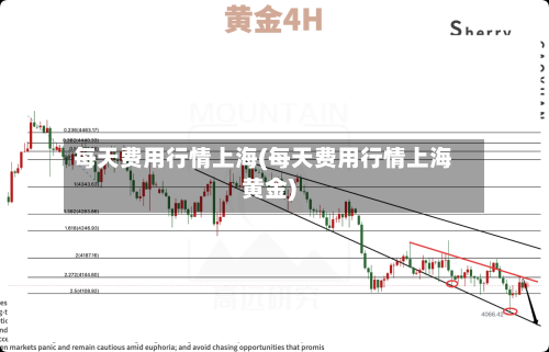 每天费用行情上海(每天费用行情上海黄金)-第2张图片