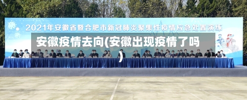安徽疫情去向(安徽出现疫情了吗)