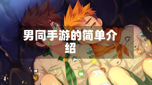 男同手游的简单介绍