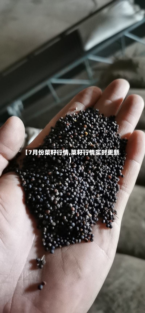 【7月份菜籽行情,菜籽行情实时更新】-第2张图片