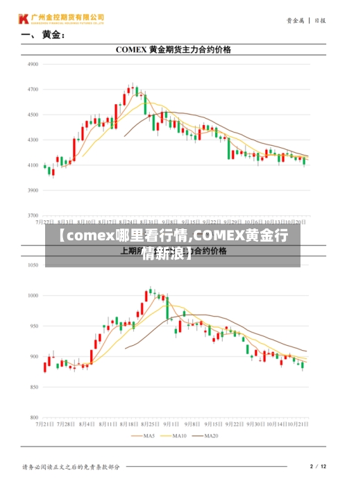 【comex哪里看行情,COMEX黄金行情新浪】