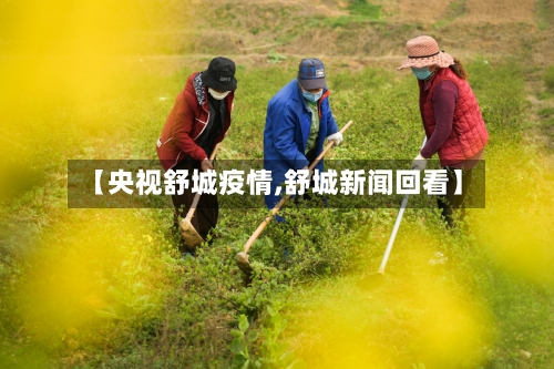 【央视舒城疫情,舒城新闻回看】-第3张图片