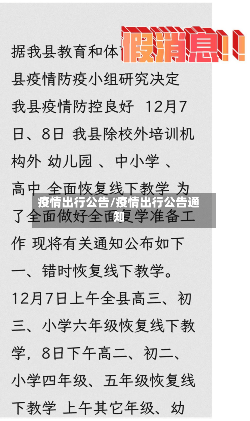 疫情出行公告/疫情出行公告通知-第2张图片