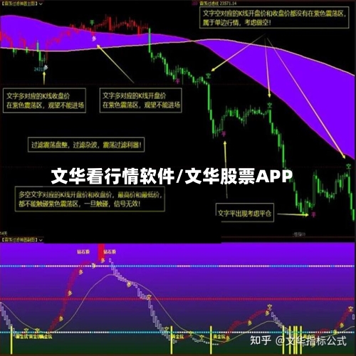 文华看行情软件/文华股票APP-第2张图片
