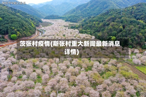 茨张村疫情(斯张村重大新闻最新消息详情)