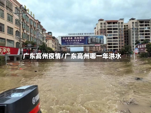 广东高州疫情/广东高州哪一年洪水
