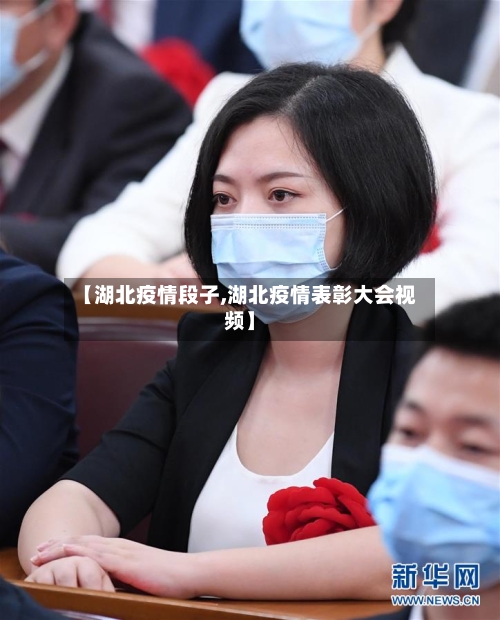【湖北疫情段子,湖北疫情表彰大会视频】