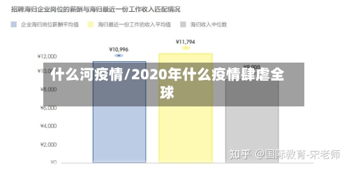 什么河疫情/2020年什么疫情肆虐全球-第2张图片