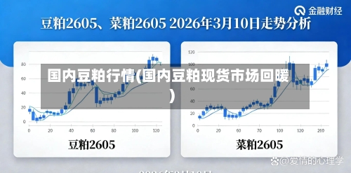 国内豆粕行情(国内豆粕现货市场回暖)-第3张图片