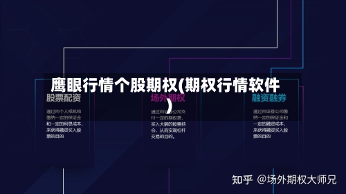 鹰眼行情个股期权(期权行情软件)-第3张图片