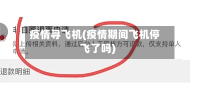 疫情寻飞机(疫情期间飞机停飞了吗)-第2张图片