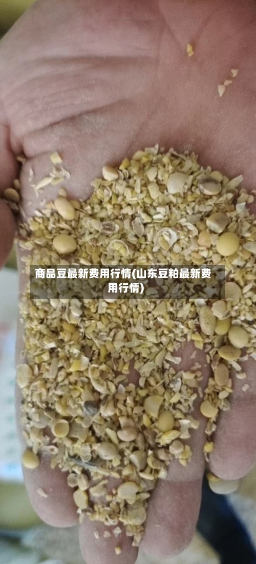 商品豆最新费用行情(山东豆粕最新费用行情)-第2张图片