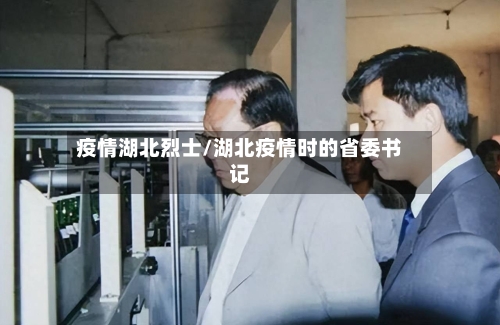 疫情湖北烈士/湖北疫情时的省委书记