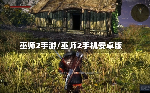 巫师2手游/巫师2手机安卓版