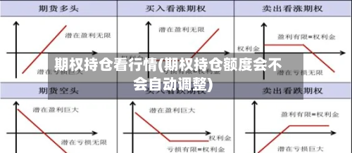 期权持仓看行情(期权持仓额度会不会自动调整)-第2张图片