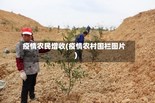 疫情农民增收(疫情农村围栏图片)-第2张图片