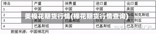 美棉花期货行情(棉花期货行情查询)-第3张图片