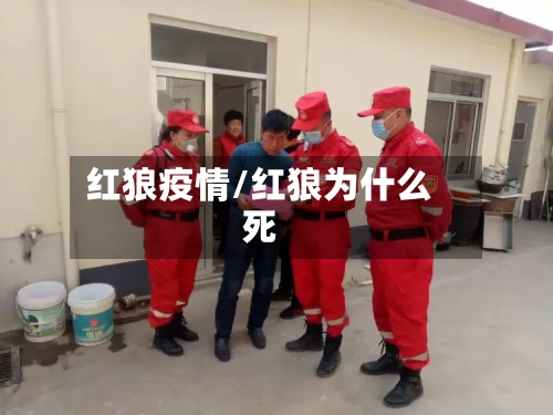红狼疫情/红狼为什么死