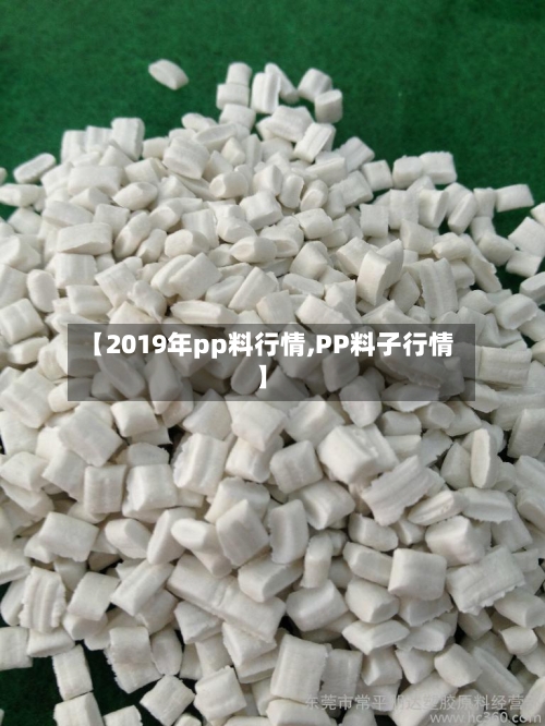 【2019年pp料行情,PP料子行情】