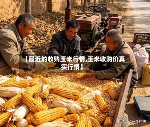 【最近的收购玉米行情,玉米收购价真实行情】