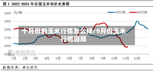 十月份的玉米行情怎么样/9月份玉米行情回顾-第3张图片