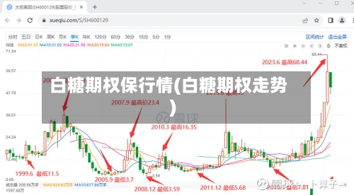 白糖期权保行情(白糖期权走势)