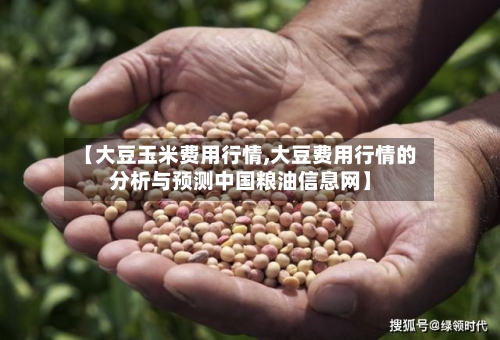 【大豆玉米费用行情,大豆费用行情的分析与预测中国粮油信息网】